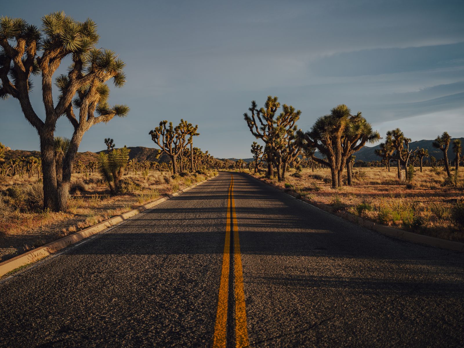 Joshua Tree via Palm Springs